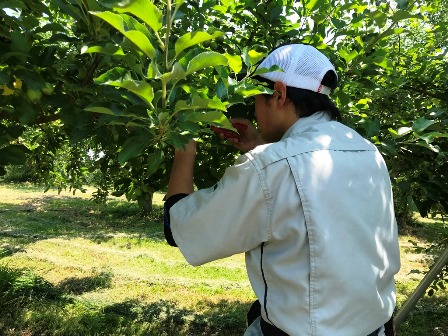 英語学習イメージ